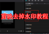 剪映怎么去掉水印