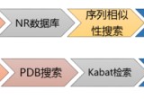 输了去对方家里任人处罚450字,全面解读文，构建完整信息框架。