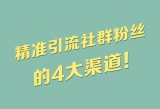 森林作弊码,语言学习社群推荐，加入学习社群，共同进步！