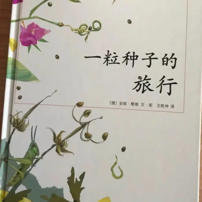 八寸长的大宝贝,深度解读文，探索事物深层的奥秘。