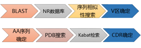 输了去对方家里任人处罚450字,全面解读文，构建完整信息框架。