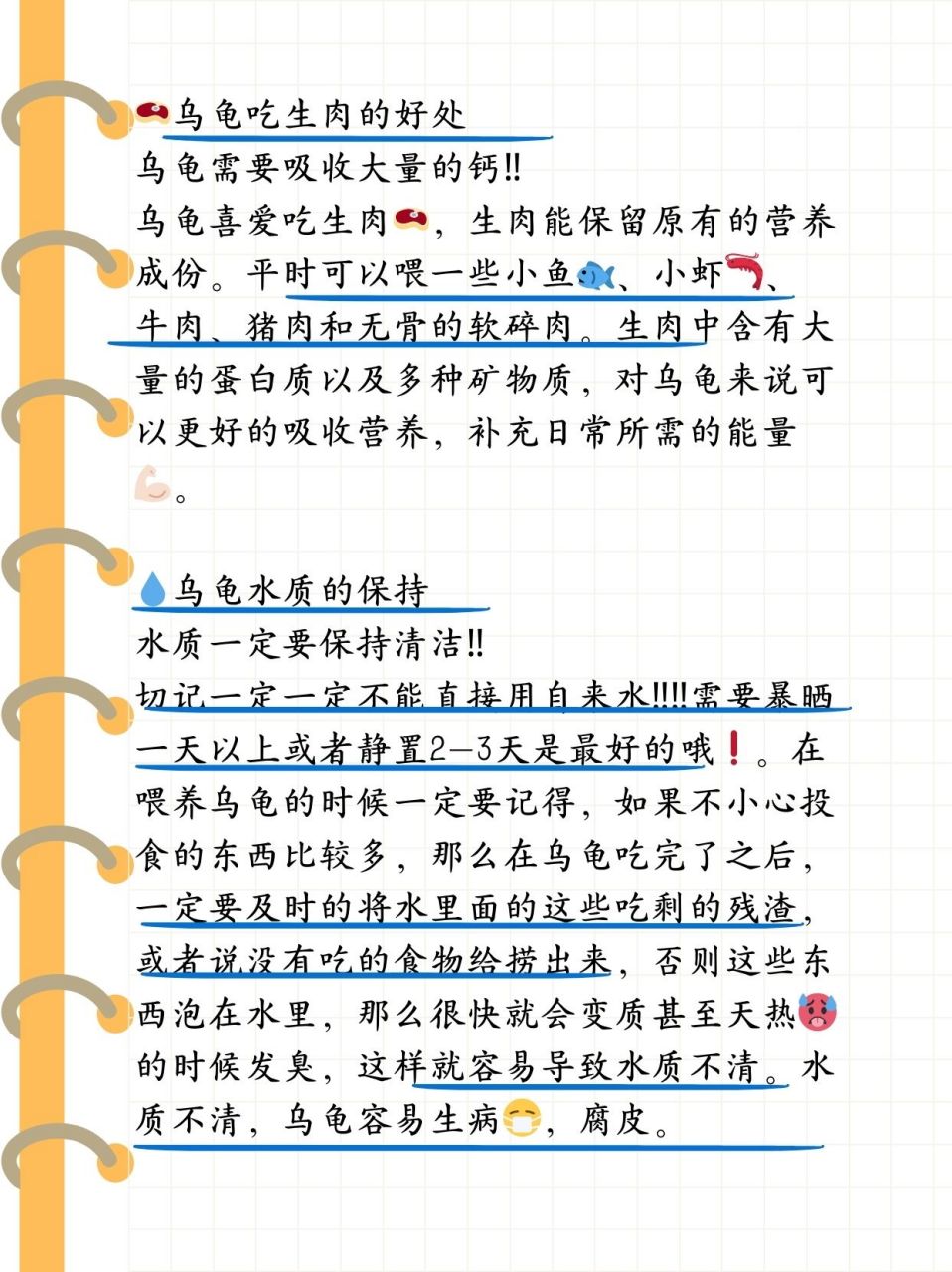 降低龟敏度的小窍门,专业解读文，提升专业知识的素养。