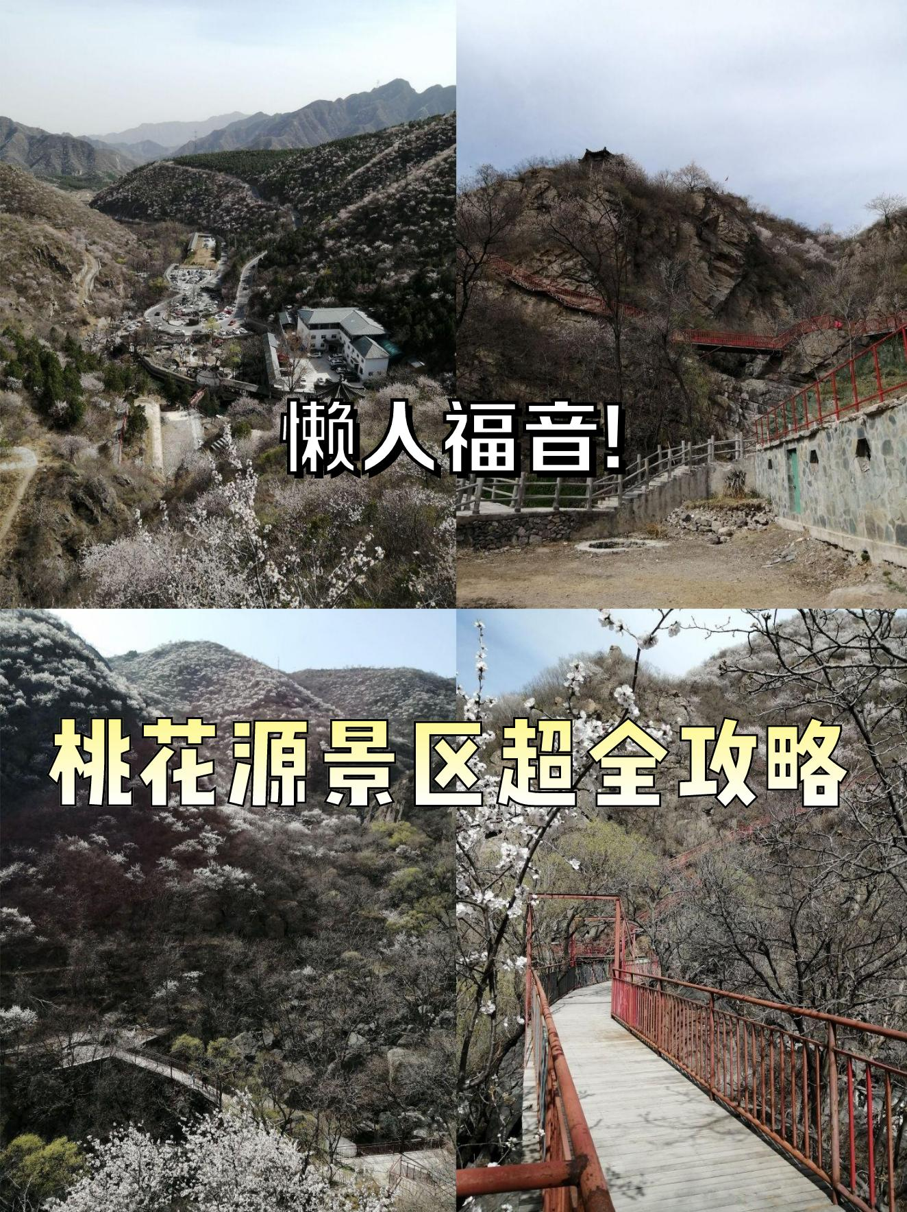 桃花朵朵开,旅游指南，小众景点，别样体验！