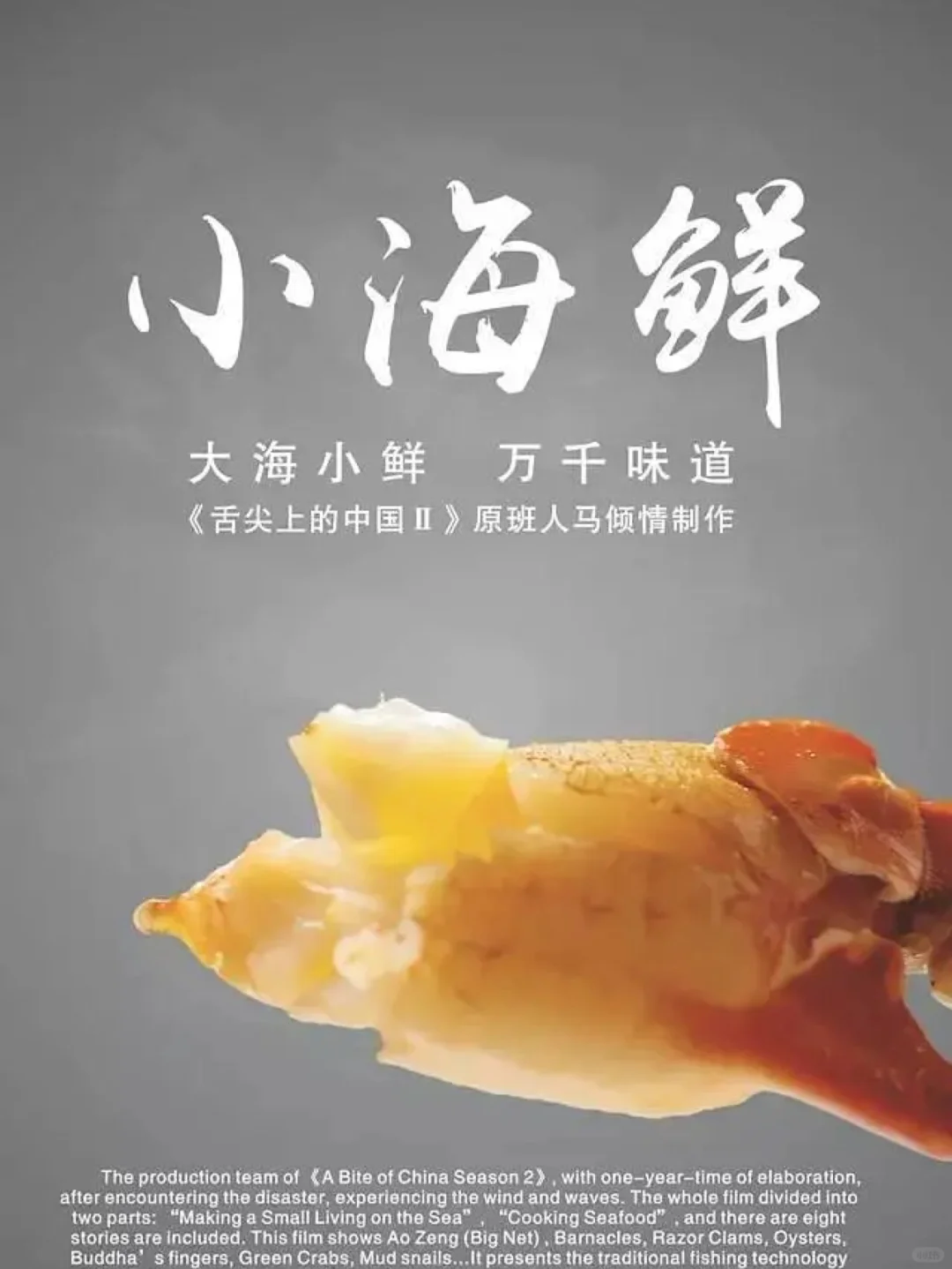 三春影视,美食纪录片推荐，观看纪录片，领略美食文化魅力！