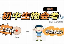 乡野春潮,详细剖析文，解读复杂事物的内涵。