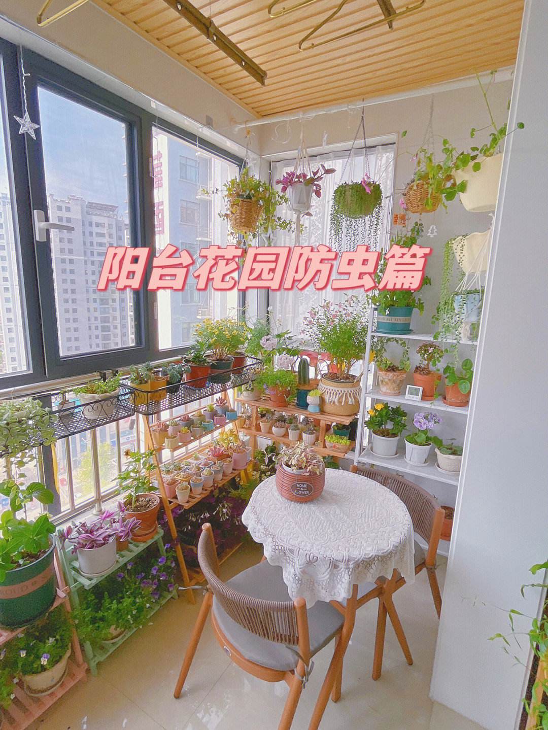 滴答影院,园艺植物病虫害防治方法，保护植物健康，打造美丽花园！