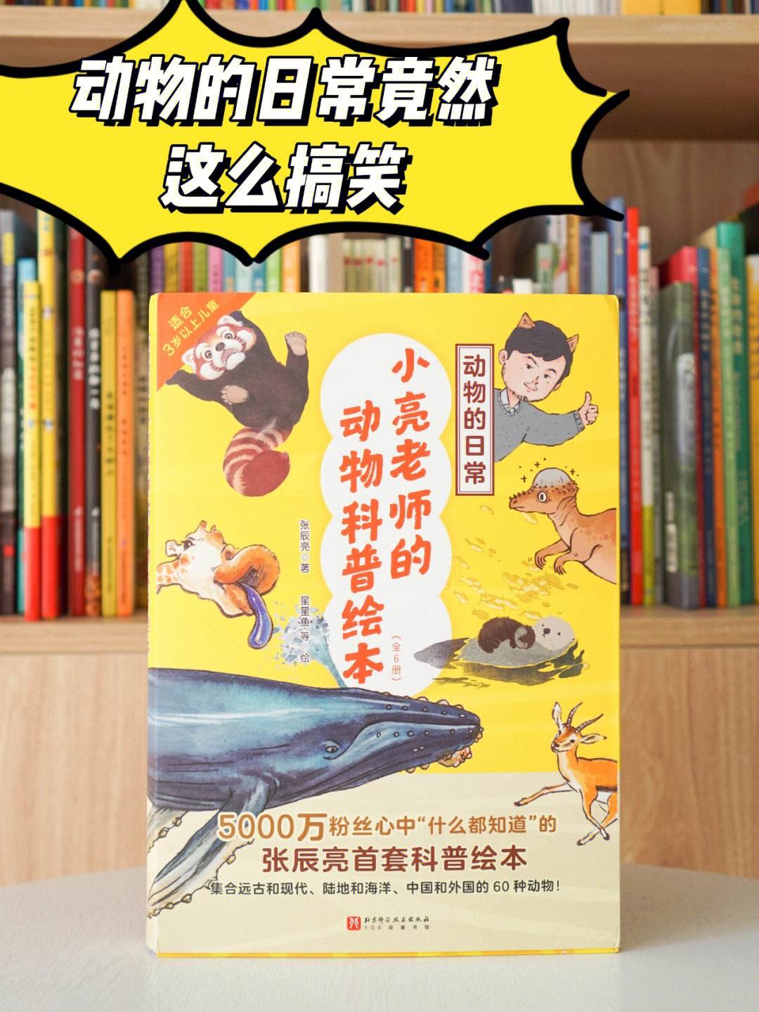 带玩具逛街时突然按下按钮的故事,趣味科普短视频推荐，轻松学习，涨知识啦！