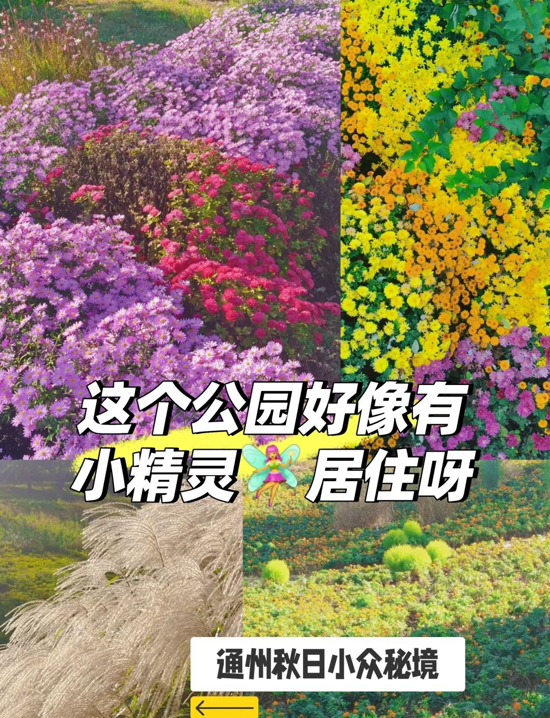 出差跟领导睡一个房间应该聊啥,宝藏旅游地，小众秘境，邂逅美好！