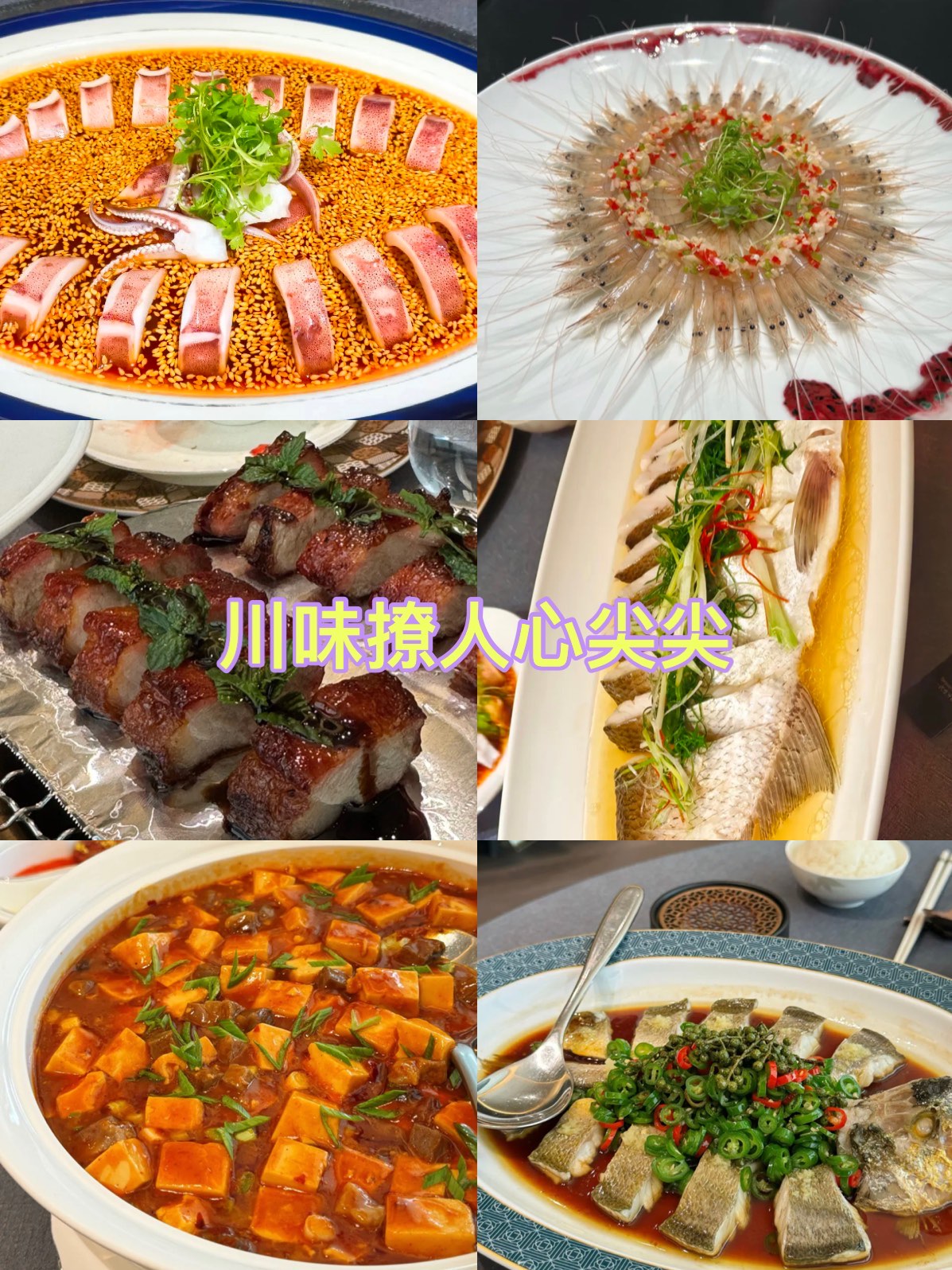 美女写真,宝藏美食店，美味佳肴，舌尖享受！