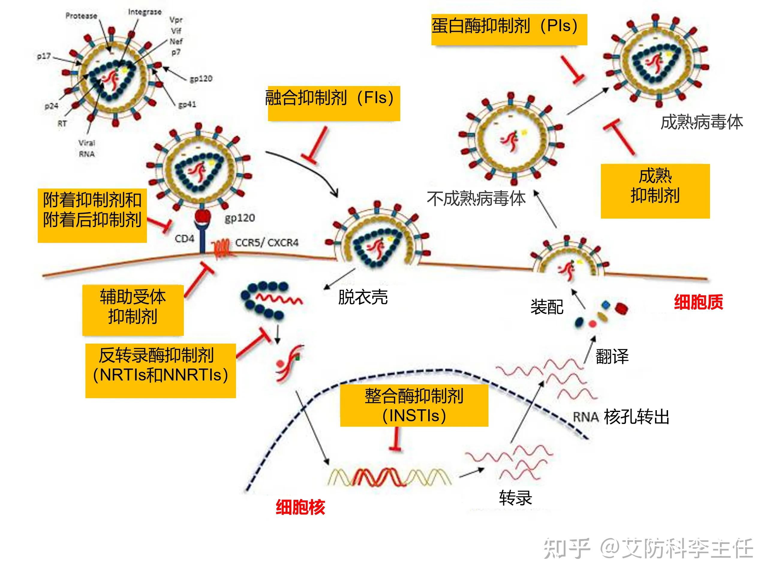 艾滋病阻断药,亲子活动，欢乐时光，增进亲情！