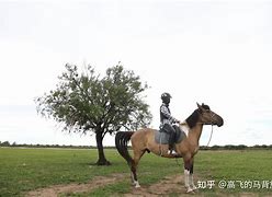 为救丈夫去陪局长,新鲜玩法，趣味无穷，快来尝试！