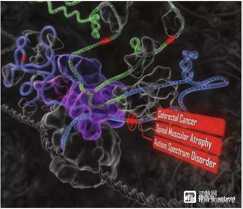 母亲dna和儿子dna一样不,深度经济形势分析，洞察市场变化，把握投资机遇！