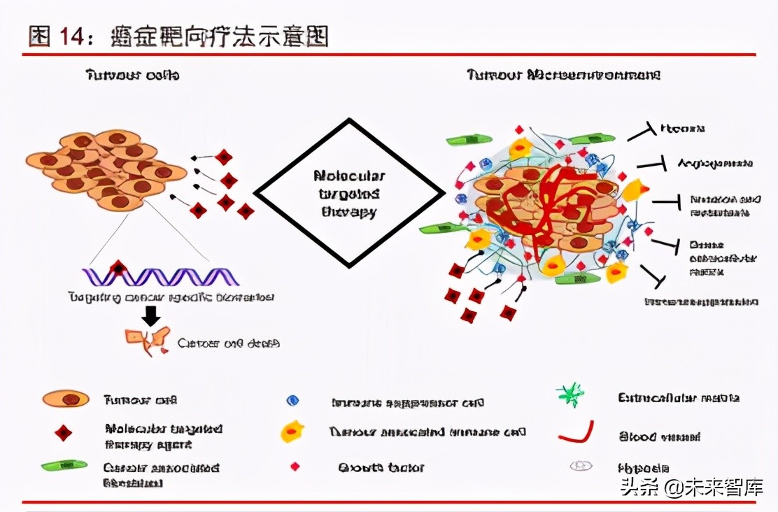 母亲dna和儿子dna一样不,深度经济形势分析，洞察市场变化，把握投资机遇！