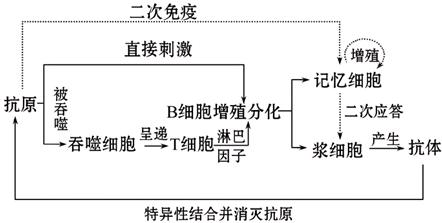 国内精产品一二二三的区别,专业剖析文，深入专业知识海洋。