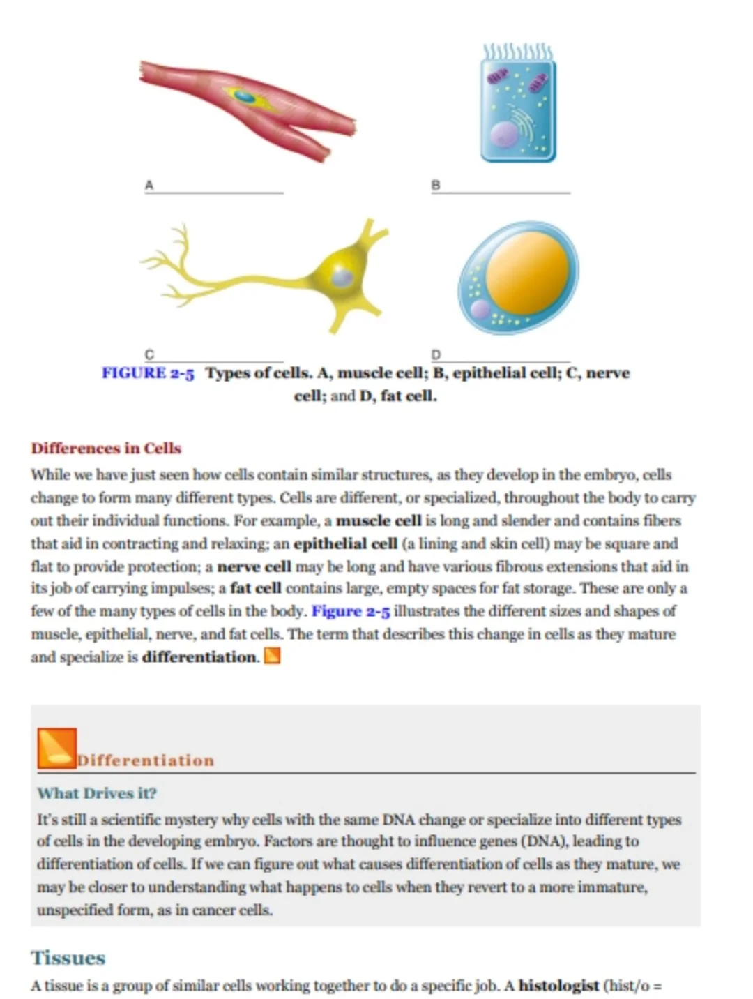 年轻护士的滋味2,自然科学实验推荐，进行科学实验，探索自然奥秘！