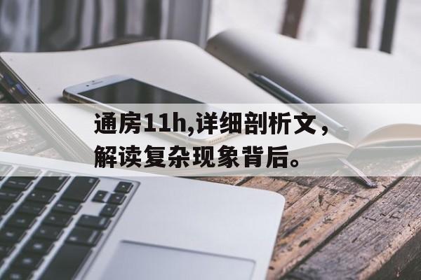 通房11h,详细剖析文，解读复杂现象背后。